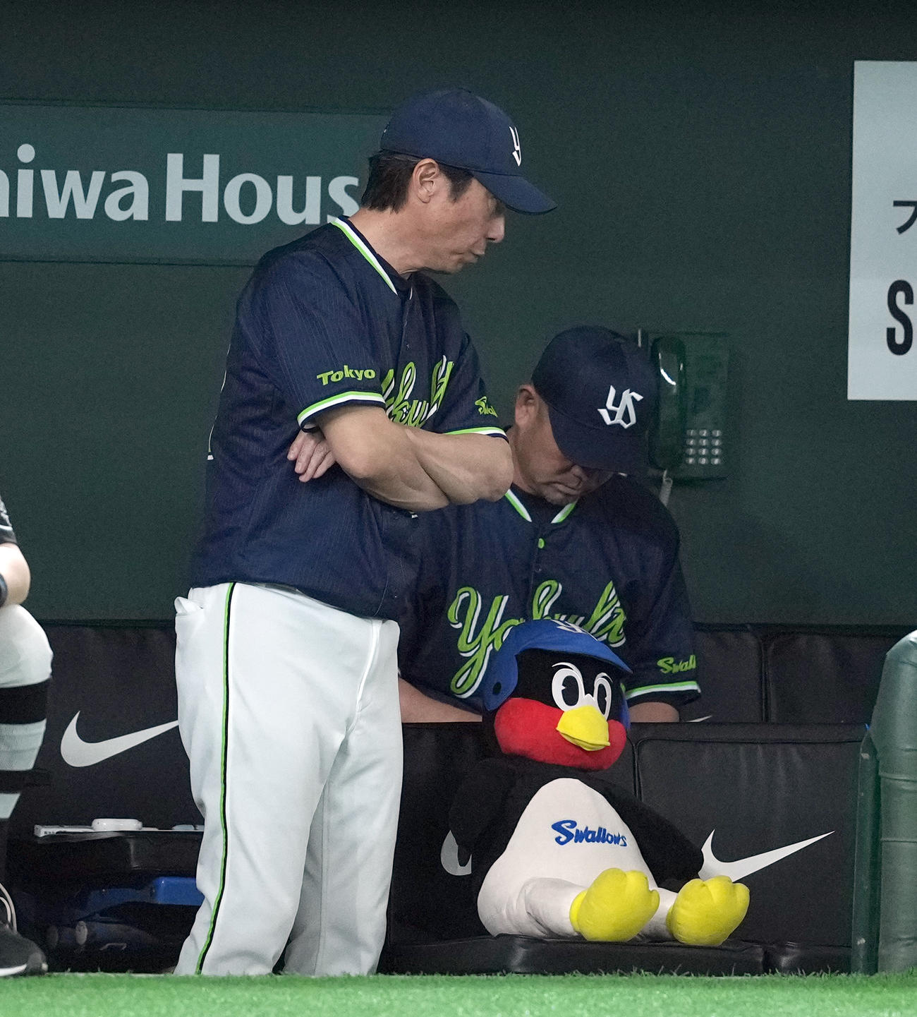 巨人対ヤクルト　ベンチで厳しい表情のヤクルト高津監督（撮影・たえ見朱実）