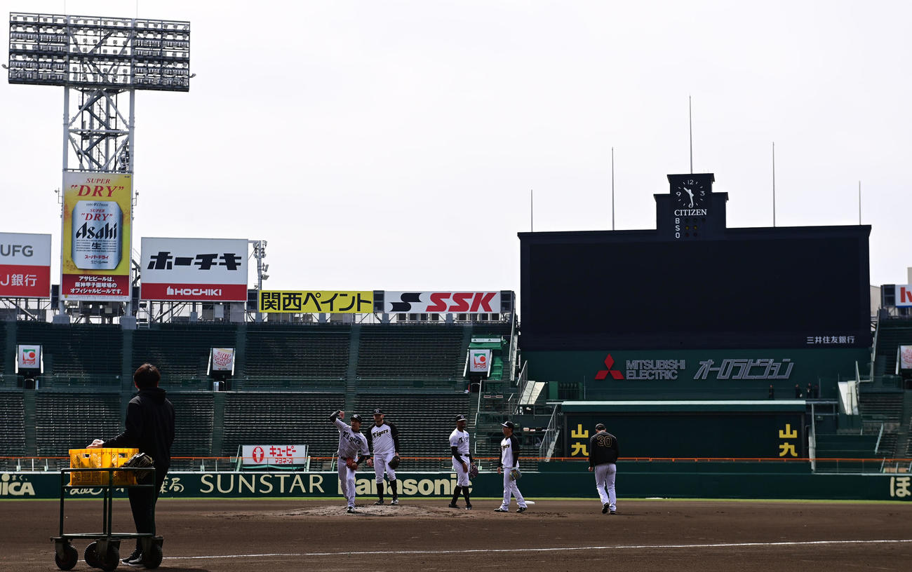 甲子園でノックを受ける阪神才木（撮影・和賀正仁）