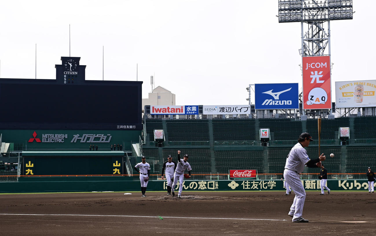 甲子園でノックを受ける阪神才木（撮影・和賀正仁）