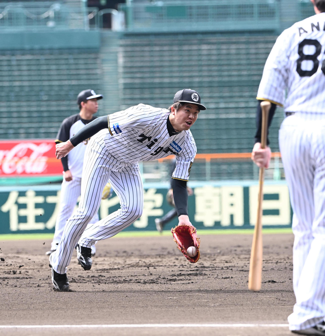 ノックを受け本塁にグラブトスする阪神才木（撮影・和賀正仁）