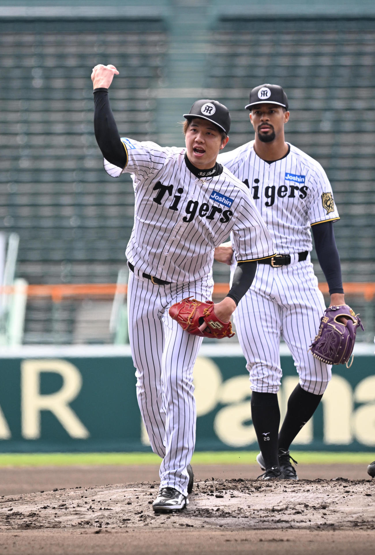 甲子園でノックを受ける阪神才木（撮影・和賀正仁）