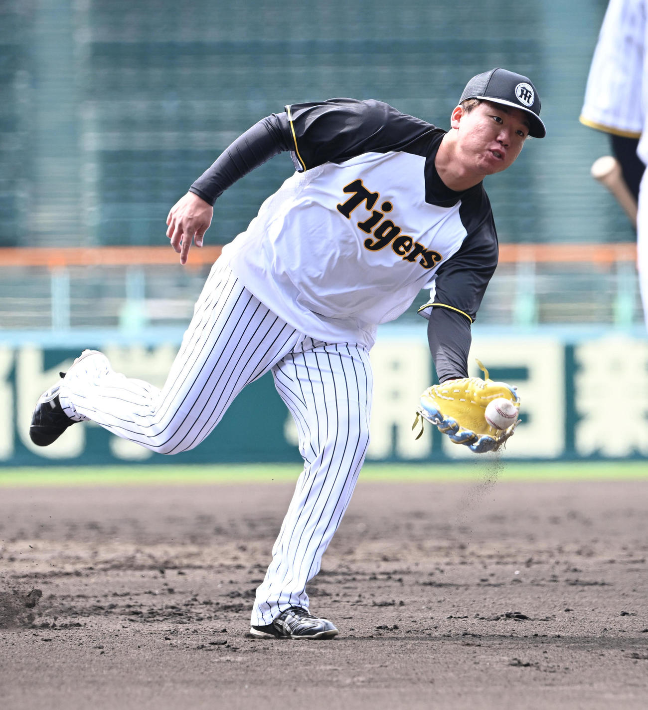 ノックを受け本塁にグラブトスする阪神村上（撮影・和賀正仁）