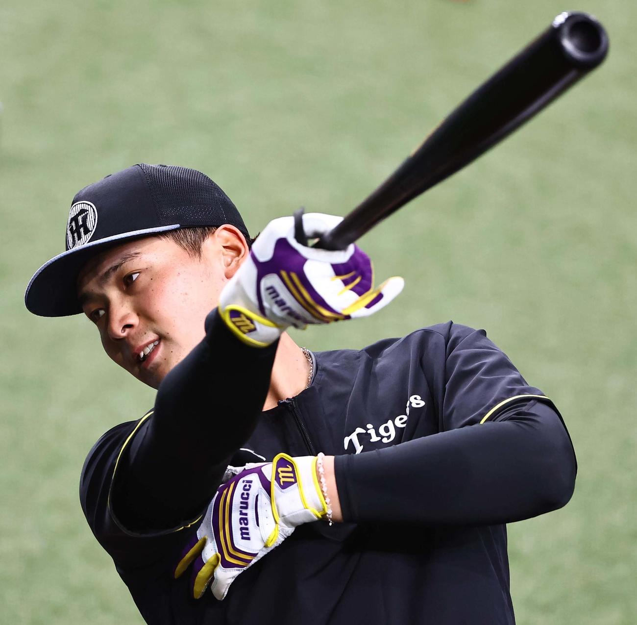 阪神対DeNA　打撃練習をする井上（撮影・上田博志）