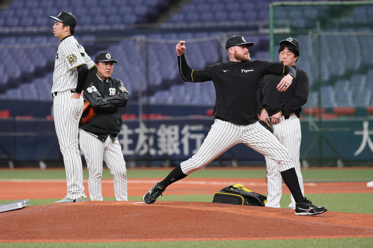 阪神対DeNA　試合前、マウンドの感触を確かめる阪神ビーズリー（右）と才木（左）（撮影・宮崎幸一）