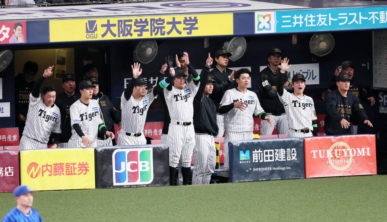 阪神対DeNA 2回裏阪神2死二塁、木浪の左前適時打にベンチで喜ぶナイン（撮影・加藤哉）