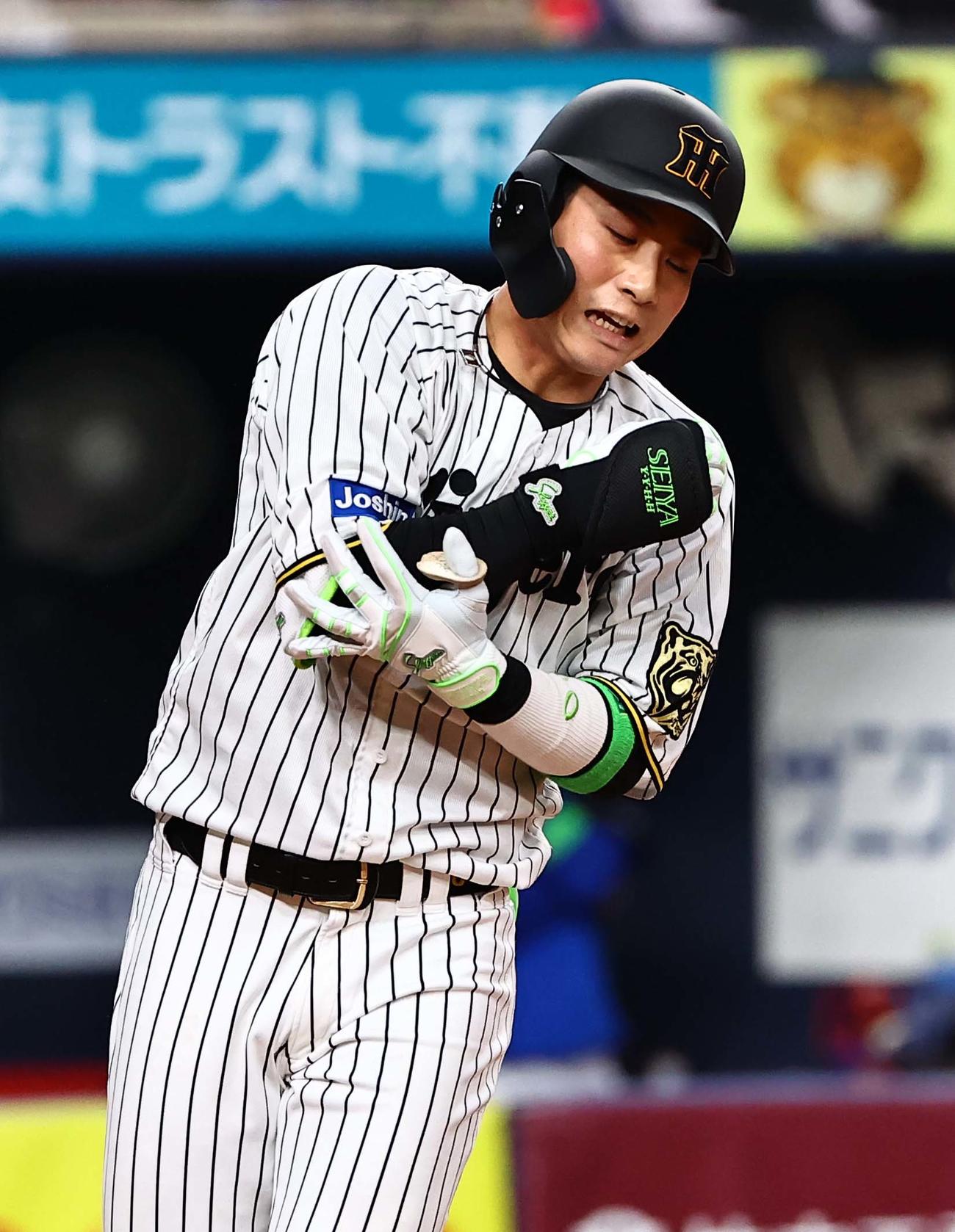 阪神対DeNA 7回裏阪神無死、木浪は右ひじに死球を受ける（撮影・上田博志）