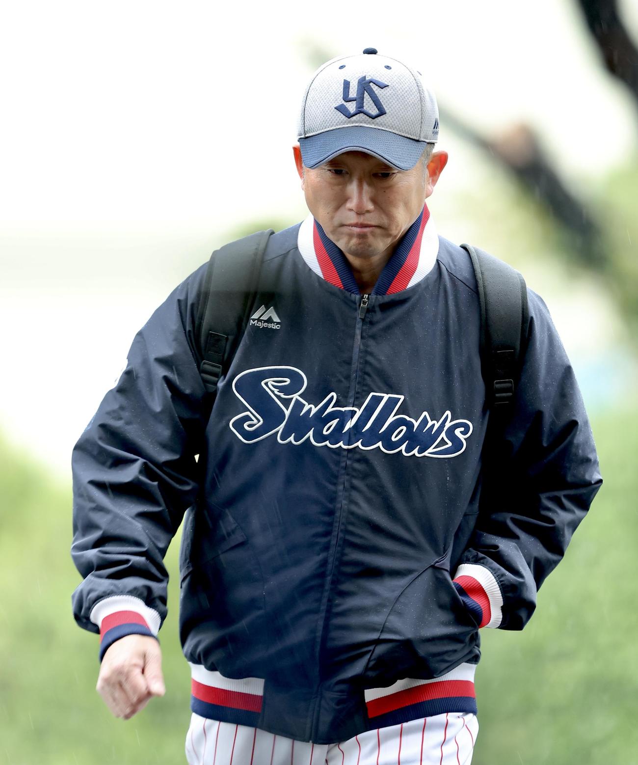 25年4月1日　ヤクルト対広島　試合前、室内練習場から移動するヤクルト石川（右）（撮影・河田真司）