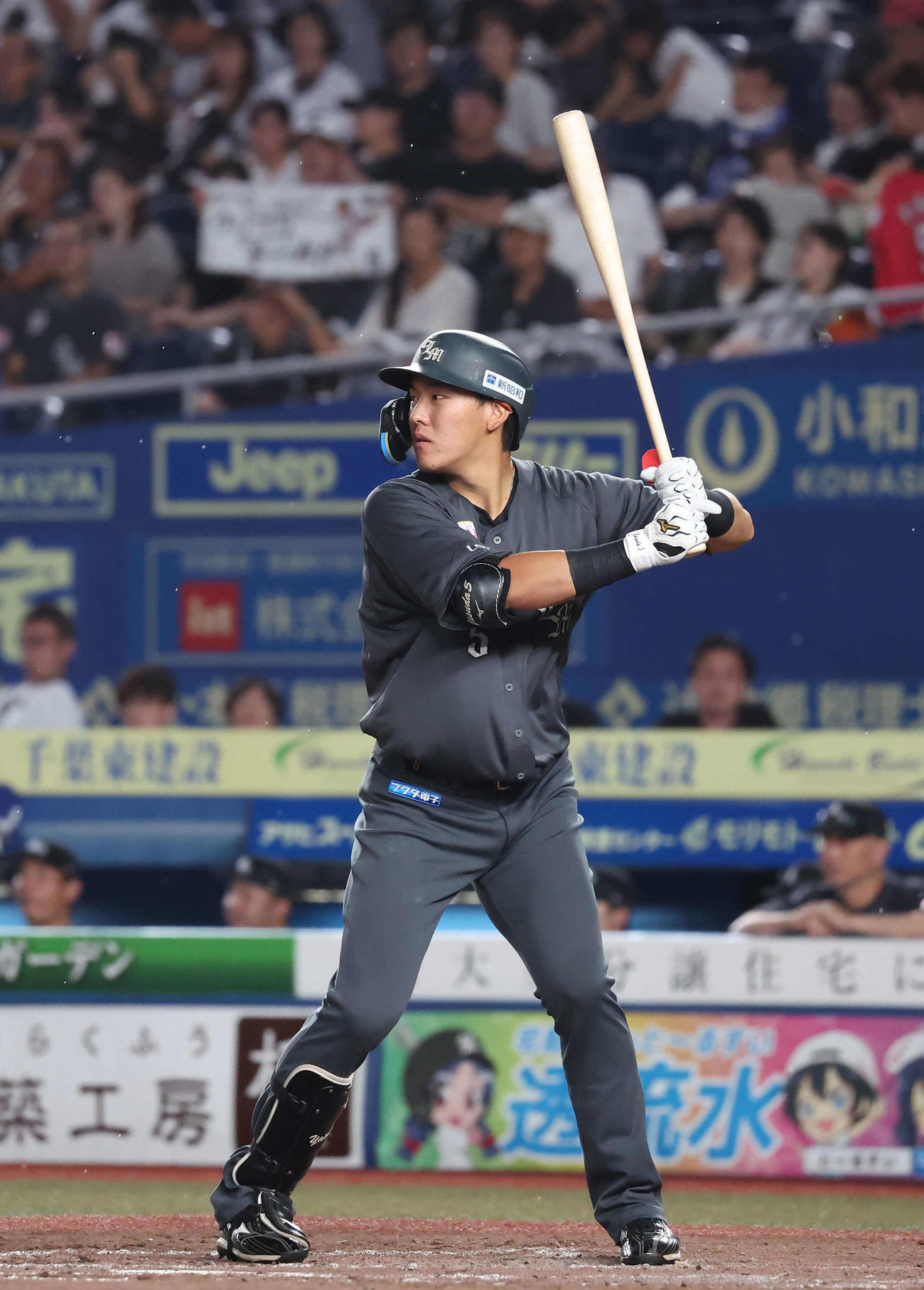 ロッテ安田尚憲（2024年9月21日撮影）