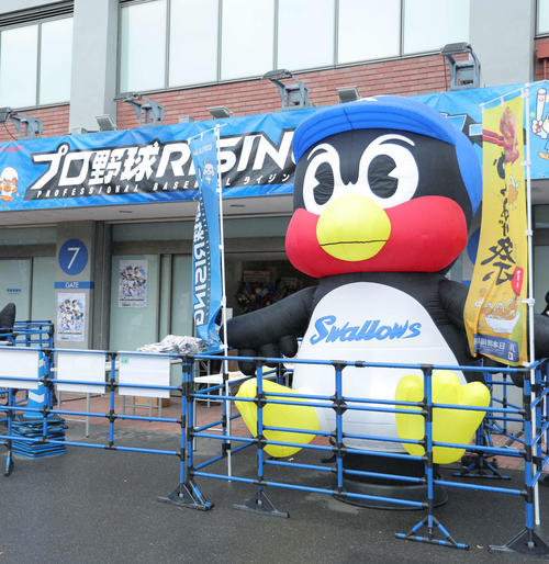 ヤクルト】2月に死去の「つば九郎」が球団に掛け合い実現 ラブ