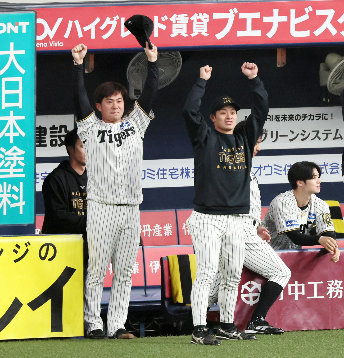 阪神対DeNA 6回裏阪神1死一、二塁、大山の適時二塁打にベンチ前で両手を突き上げて喜ぶ桐敷（左）と坂本（撮影・加藤哉）