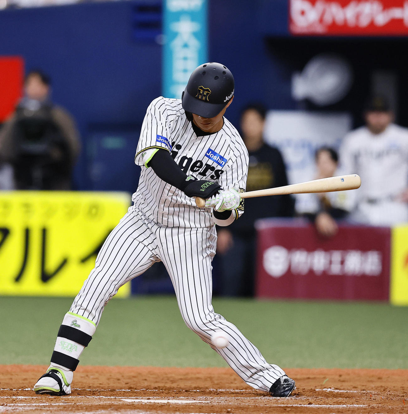 阪神対DeNA 6回裏阪神1死満塁、木浪は押し出しの四球を選ぶ（撮影・藤尾明華）