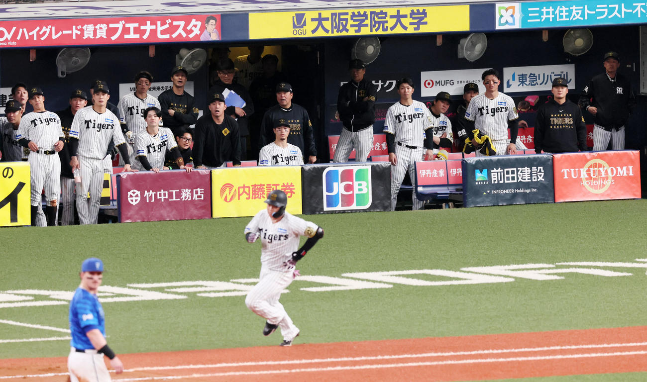 阪神対DeNA 9回裏阪神2死、大山の中飛をベンチから見つめるナイン（撮影・加藤哉）