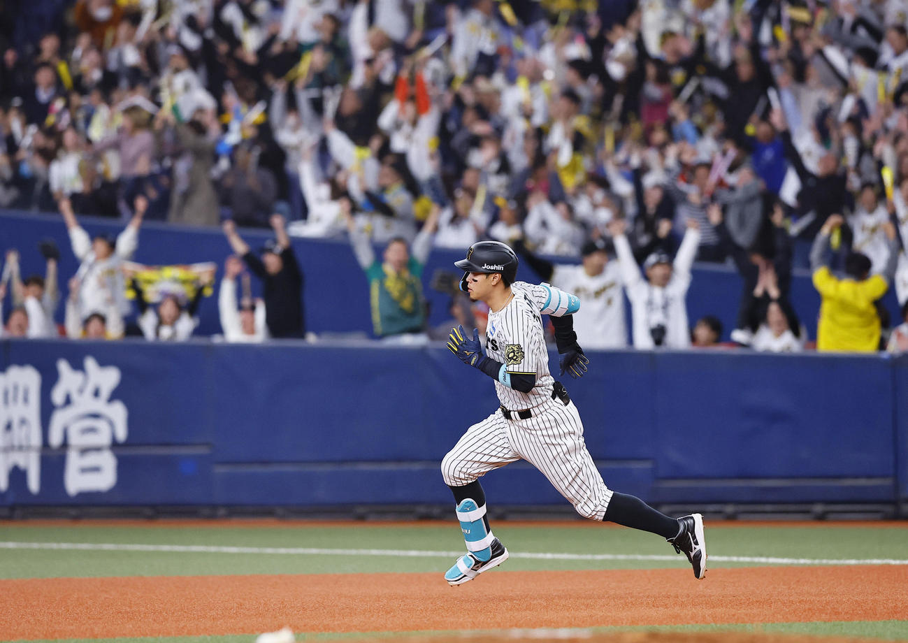 阪神対DeNA 8回裏阪神1死一塁、佐藤輝は左中間に同点の2点本塁打を放ち一塁を回る（撮影・藤尾明華）