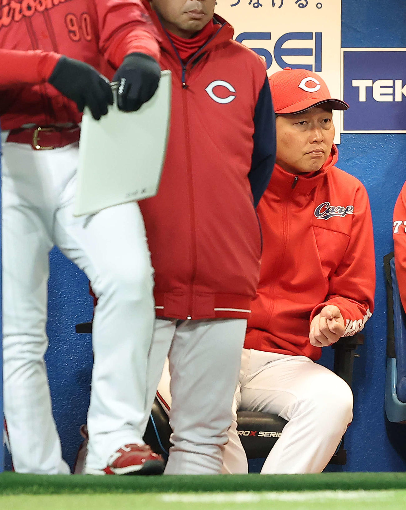 ヤクルト対広島　4回裏、戦況を見守る新井監督（撮影・河田真司）