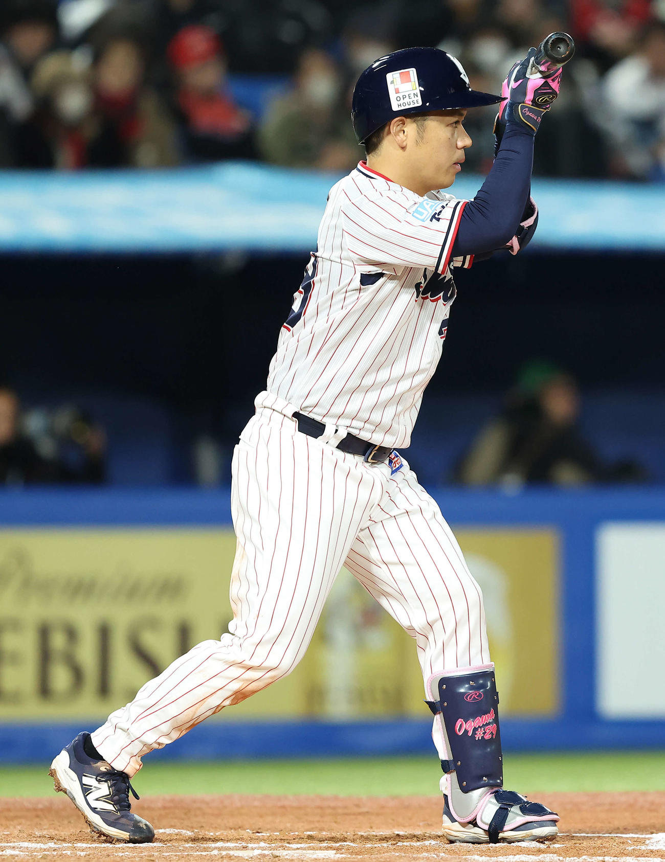 ヤクルト対広島　7回裏ヤクルト1死一塁、バントの構えに入る小川（撮影・河田真司）