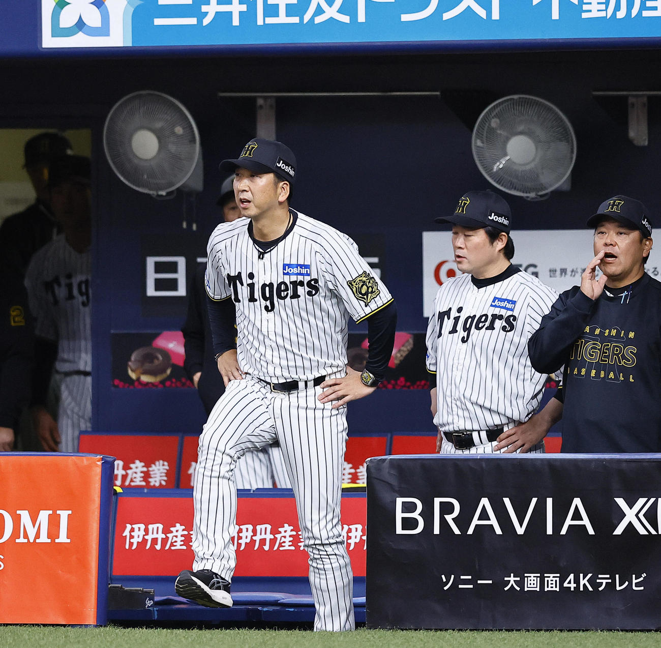 阪神対DeNA 9回表DeNA1死一塁、打者佐野のとき、判定に抗議するためベンチを出る阪神藤川監督（撮影・藤尾明華）
