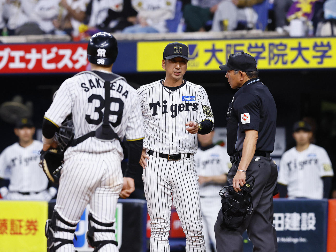 阪神対DeNA 9回表DeNA1死一塁、打者佐野のとき、判定に抗議する阪神藤川監督（2025年4月3日撮影）