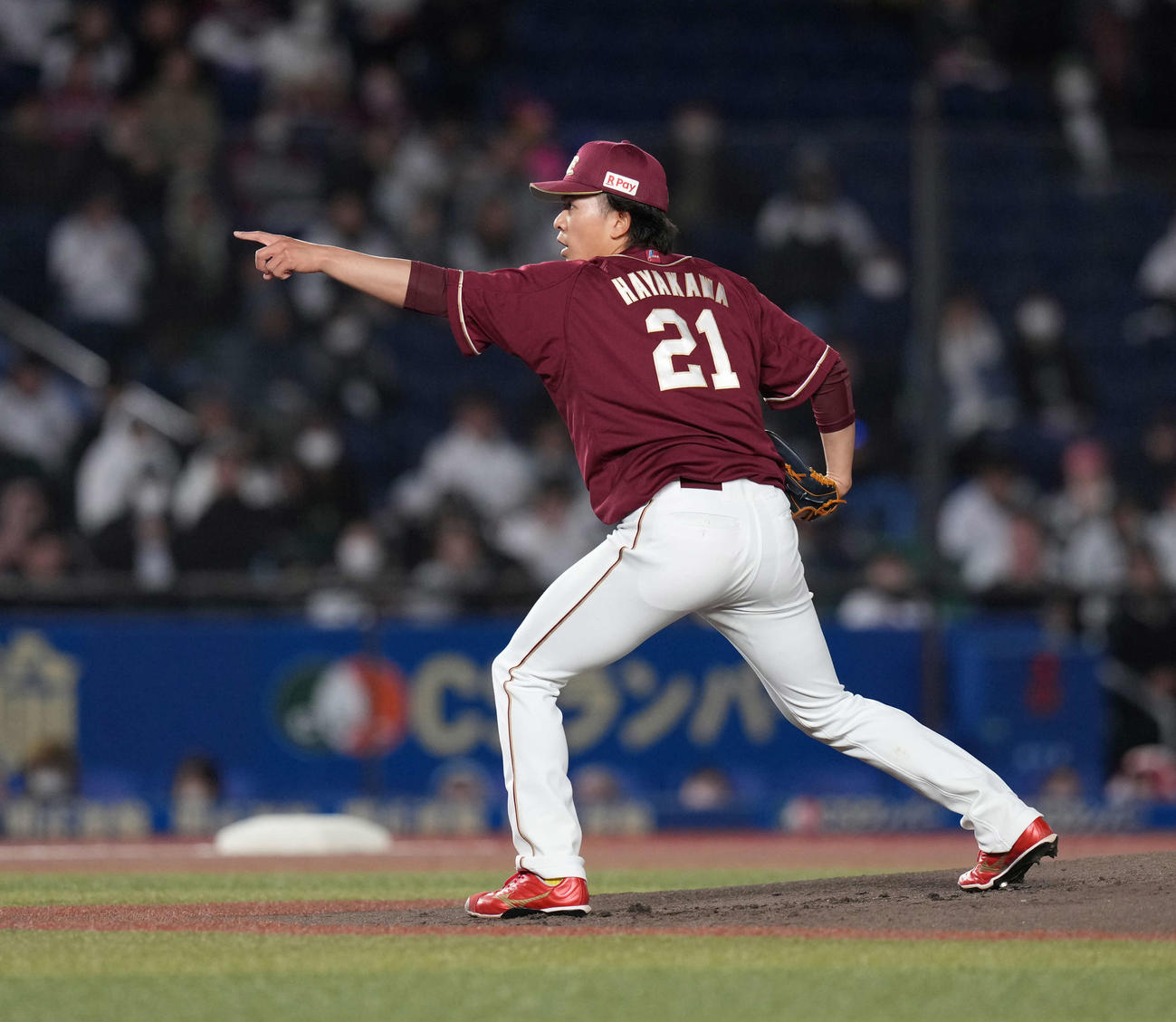ロッテ対楽天　2回、アピールする早川（撮影・井上学）