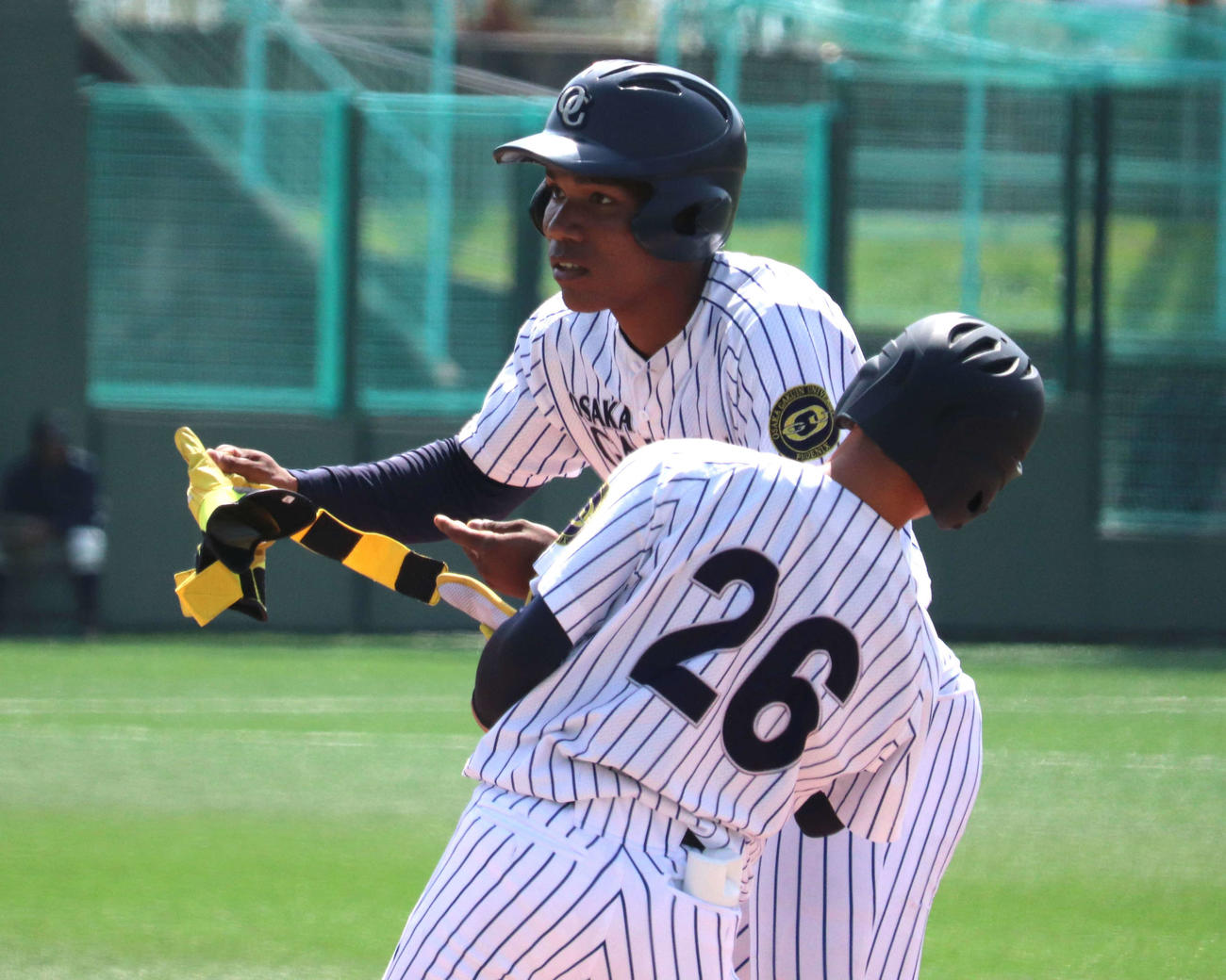 大商大対大院大　1打席目に今季初安打が飛び出した大院大のエドポロ・ケイン（撮影・中島麗）