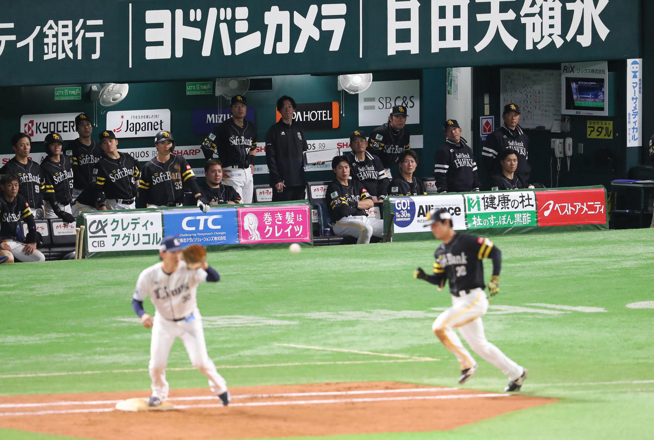 ソフトバンク対西武　9回裏ソフトバンク2死一塁、柳町は二ゴロ、ベンチから見守るベンチのナイン（撮影・梅根麻紀）