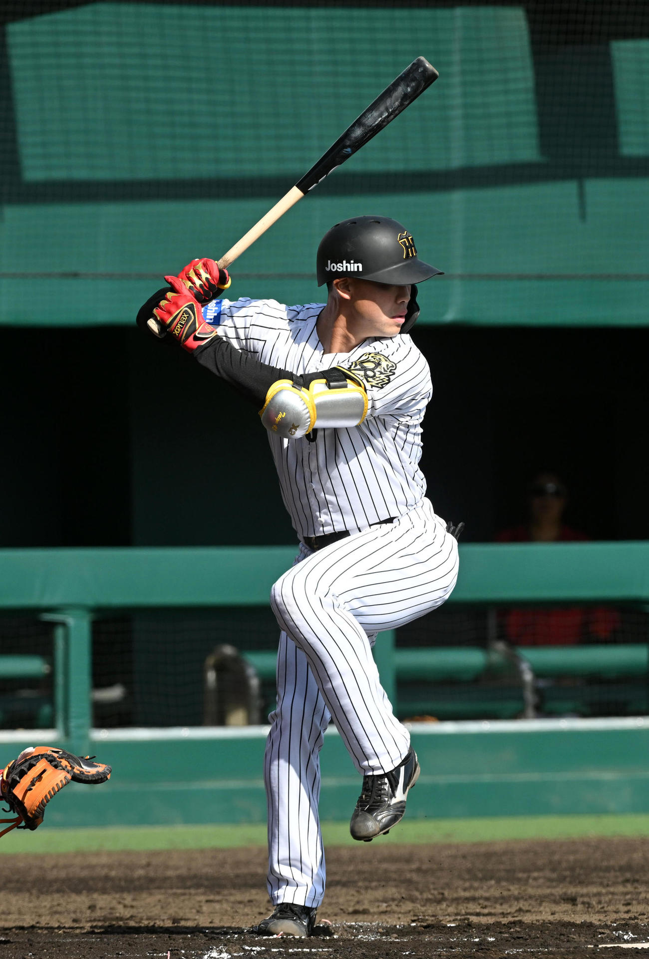 阪神佐野大陽（2025年3月14日撮影）