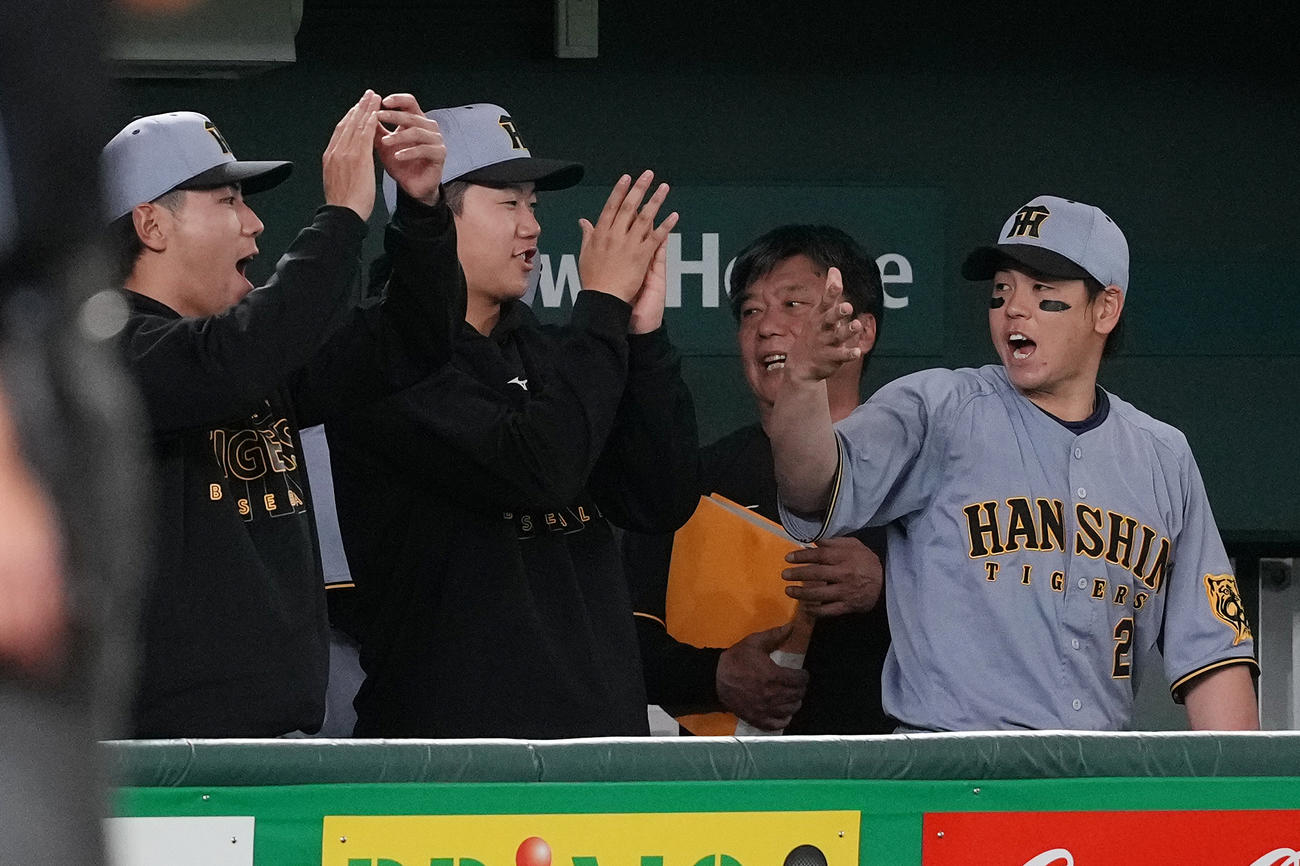 巨人対阪神　巨人に勝利し、プロ初勝利の阪神門別（中央）はベンチで手をたたいて喜ぶ（撮影・鈴木みどり）