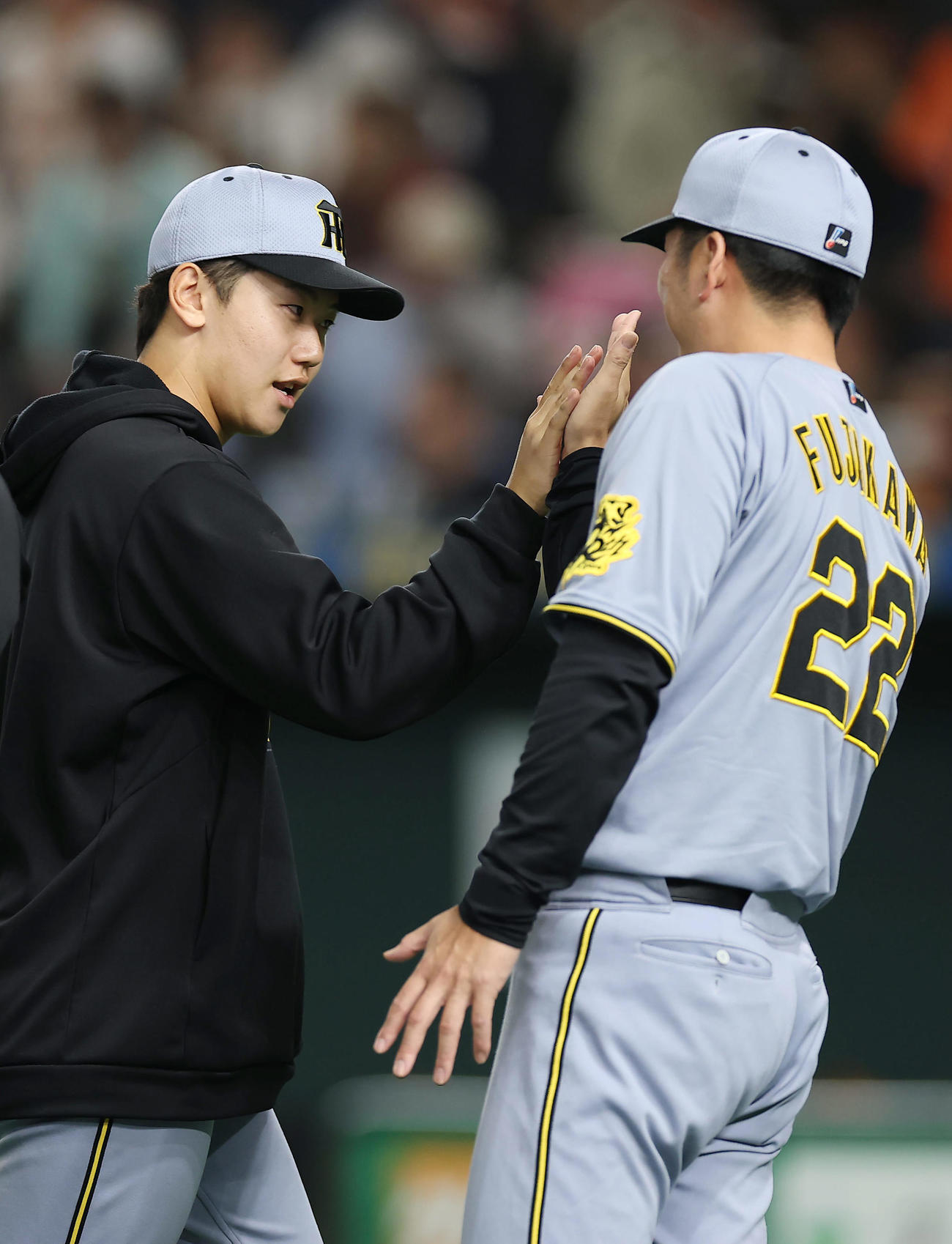 巨人対阪神　巨人に勝利し、阪神藤川監督（右）とタッチを交わす門別（撮影・前田充）