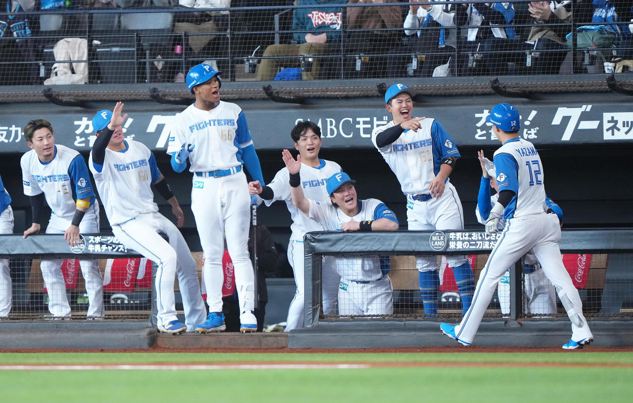 日本ハム対オリックス　1回裏日本ハム1死、矢沢（右端）は右越え本塁打を放ちナインらに迎えられる（撮影・足立雅史）
