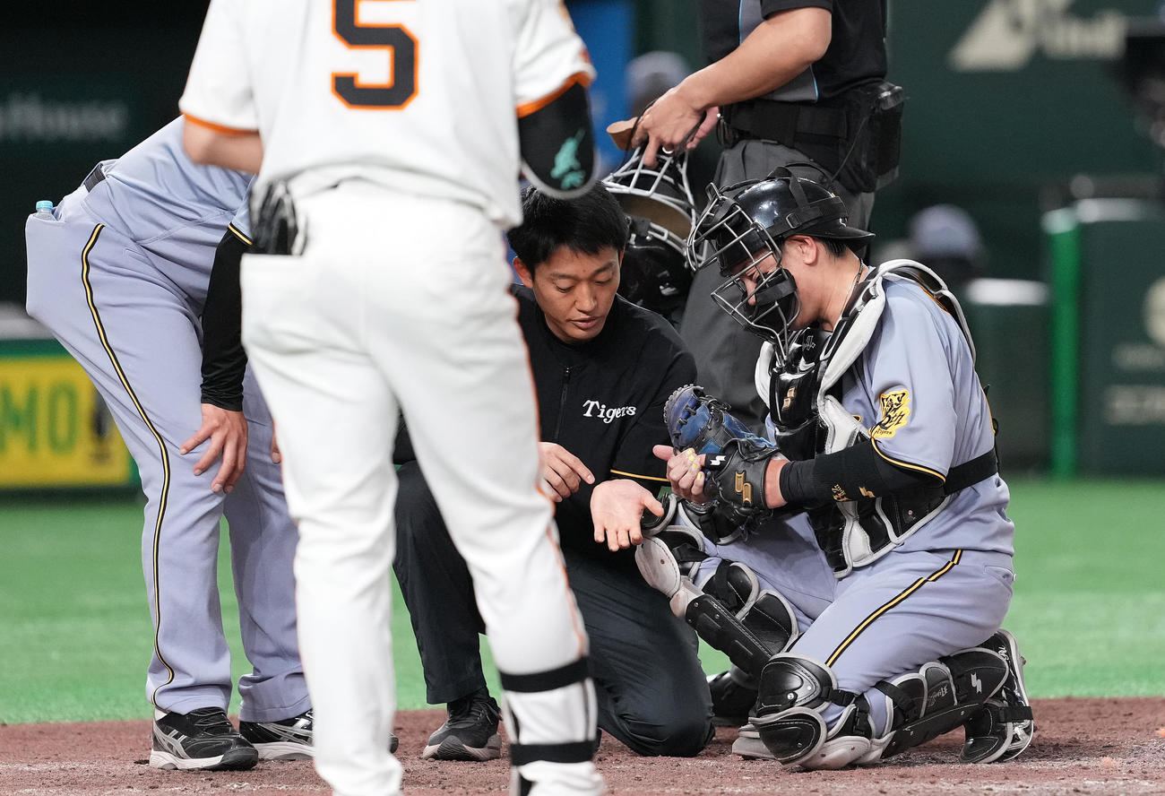 巨人対阪神　7回裏巨人1死一塁、打者門脇の時、痛がる捕手梅野（右）（撮影・鈴木みどり）