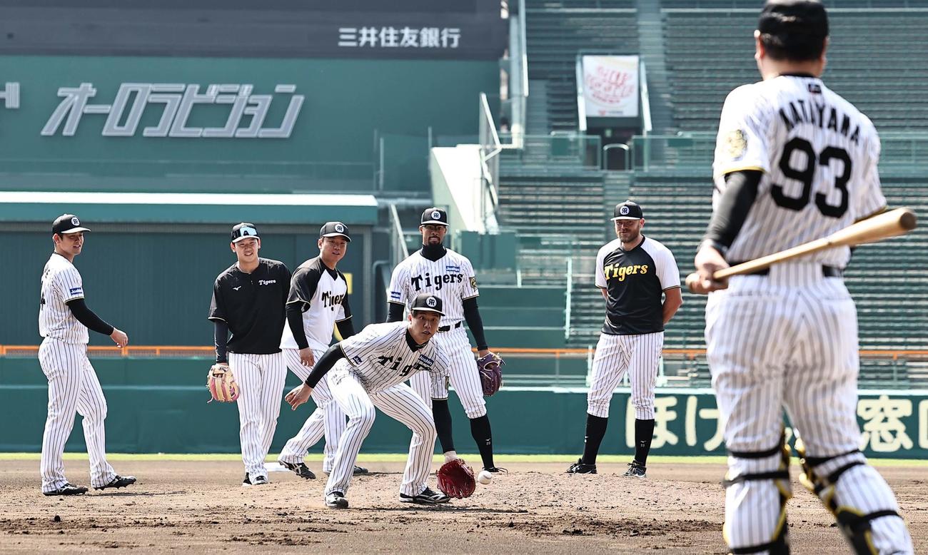 甲子園球場でノックを受ける左から岡留、門別、村上、才木、デュプランティエ、ビーズリー（撮影・上田博志）