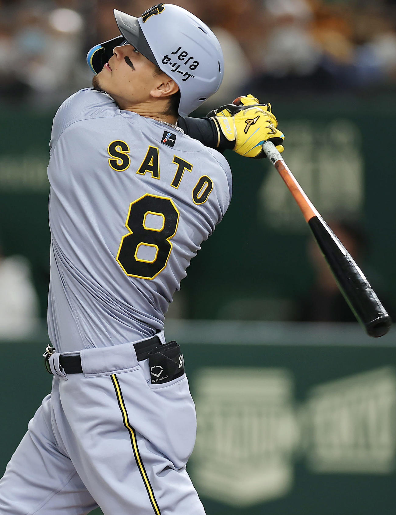 阪神佐藤輝明（2025年4月5日撮影）