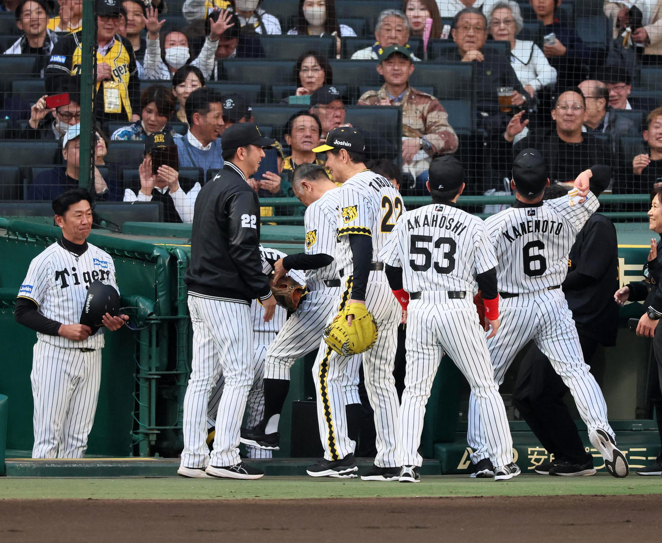 阪神対ヤクルト　試合前守備位置に就いた阪神レジェンドOBを迎える藤川監督（撮影・加藤哉）