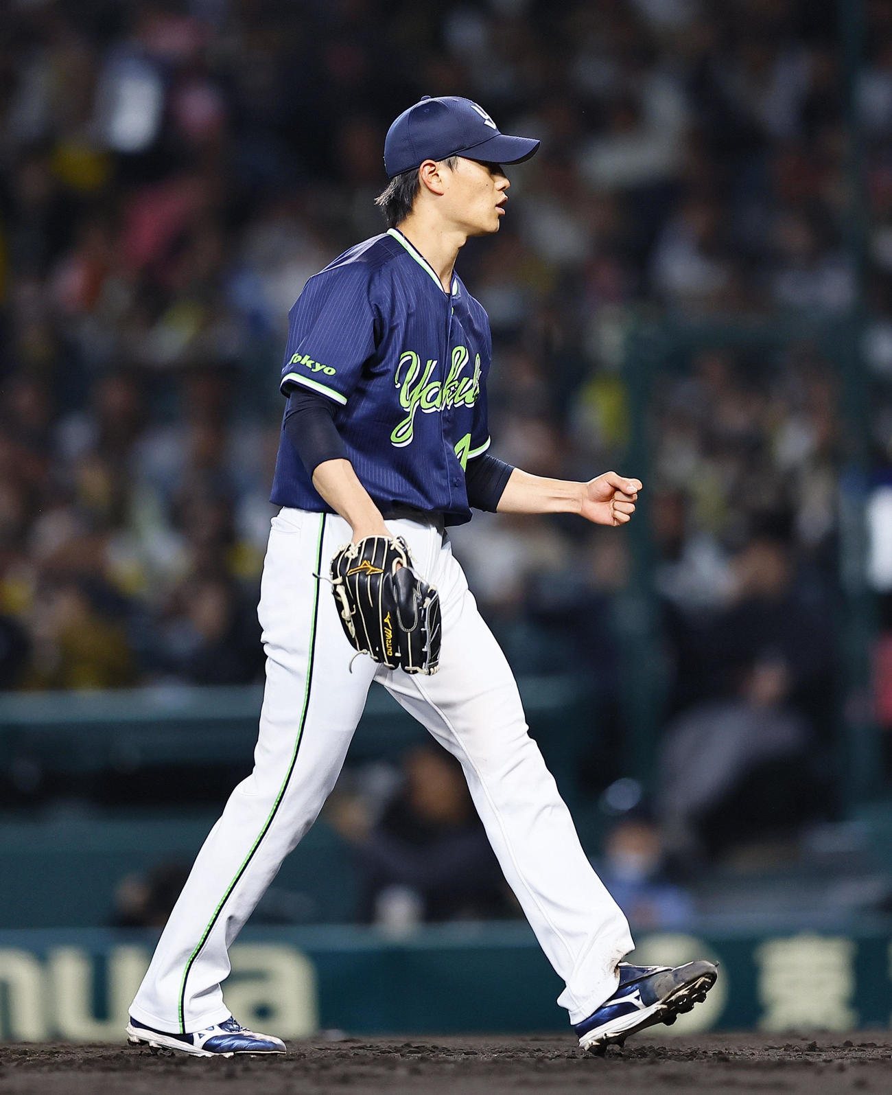 阪神対ヤクルト　7回裏阪神1死一、二塁、代打原口を三ゴロ併殺に打ち取りガッツポーズをする高橋（撮影・藤尾明華）