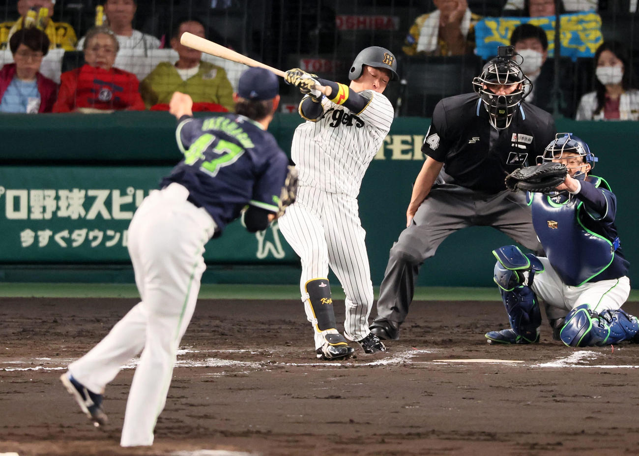 阪神対ヤクルト　6回裏阪神無死、三振に倒れる近本。投手高橋（撮影・加藤哉）