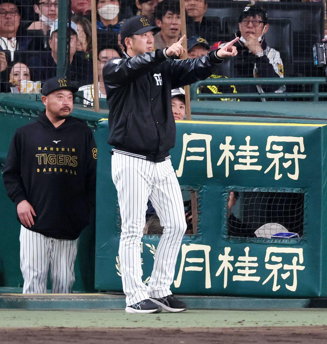 阪神対ヤクルト　7回裏阪神1死一、二塁、藤川監督は代打原口の一塁判定にリクエストのポーズを見せる（撮影・加藤哉）