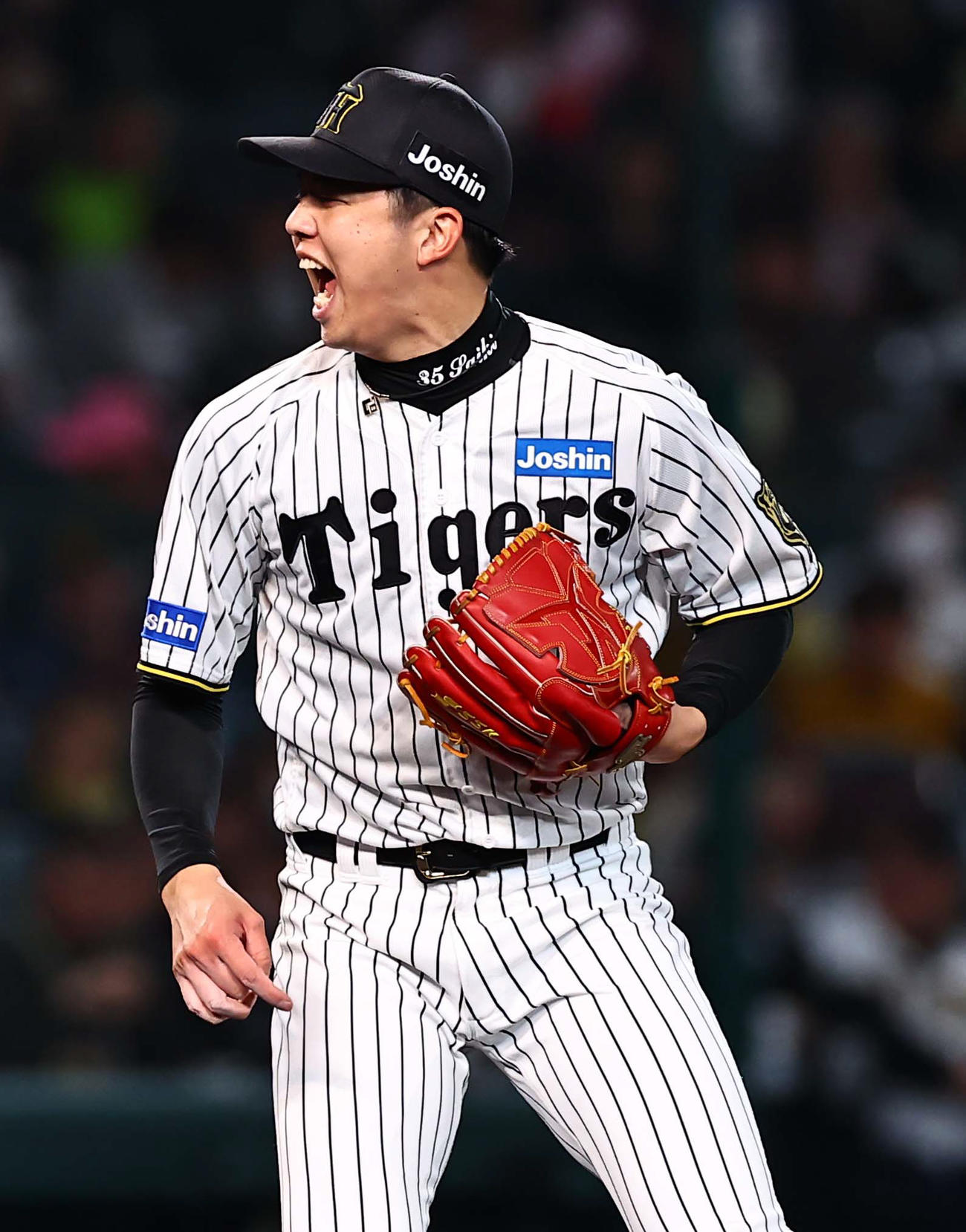 阪神対ヤクルト　8回表ヤクルト1死二塁、丸山和から三振を奪い雄たけびをあげる才木（撮影・上田博志）