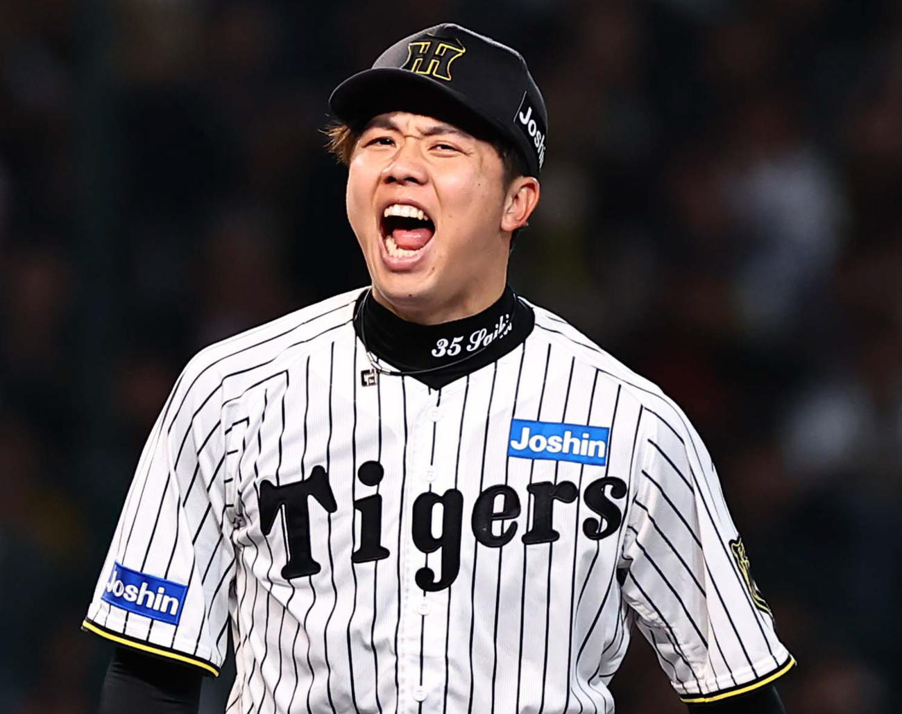阪神対ヤクルト　8回表ヤクルト2死二、三塁、オスナを遊飛に打ち取り雄たけびをあげる才木（撮影・上田博志）