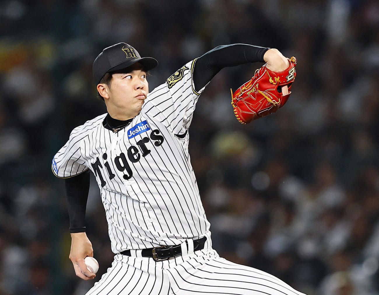 阪神対ヤクルト　5回、好投を見せる阪神才木（撮影・藤尾明華）