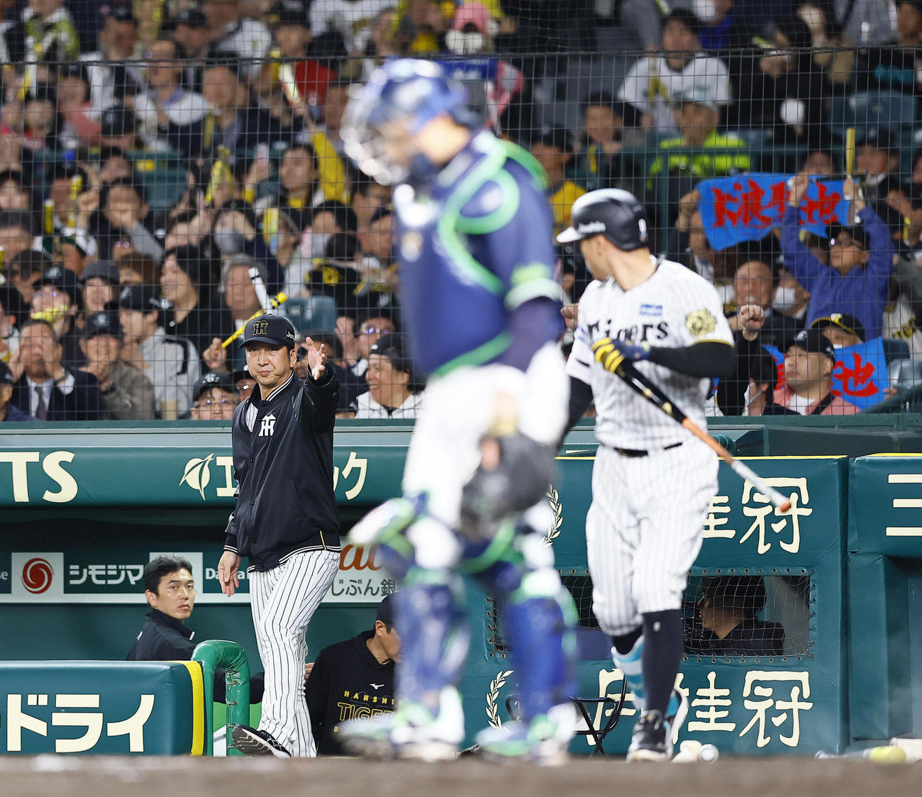阪神対ヤクルト　8回裏阪神無死一塁、佐藤輝（右）の代打を告げる藤川監督（撮影・藤尾明華）