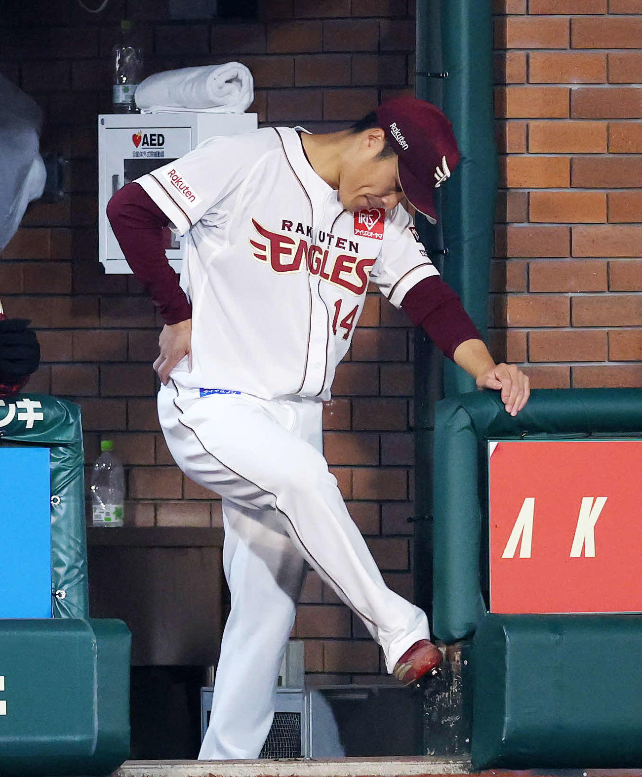 楽天対日本ハム　9回表、降板した楽天則本（撮影・鈴木正人）　