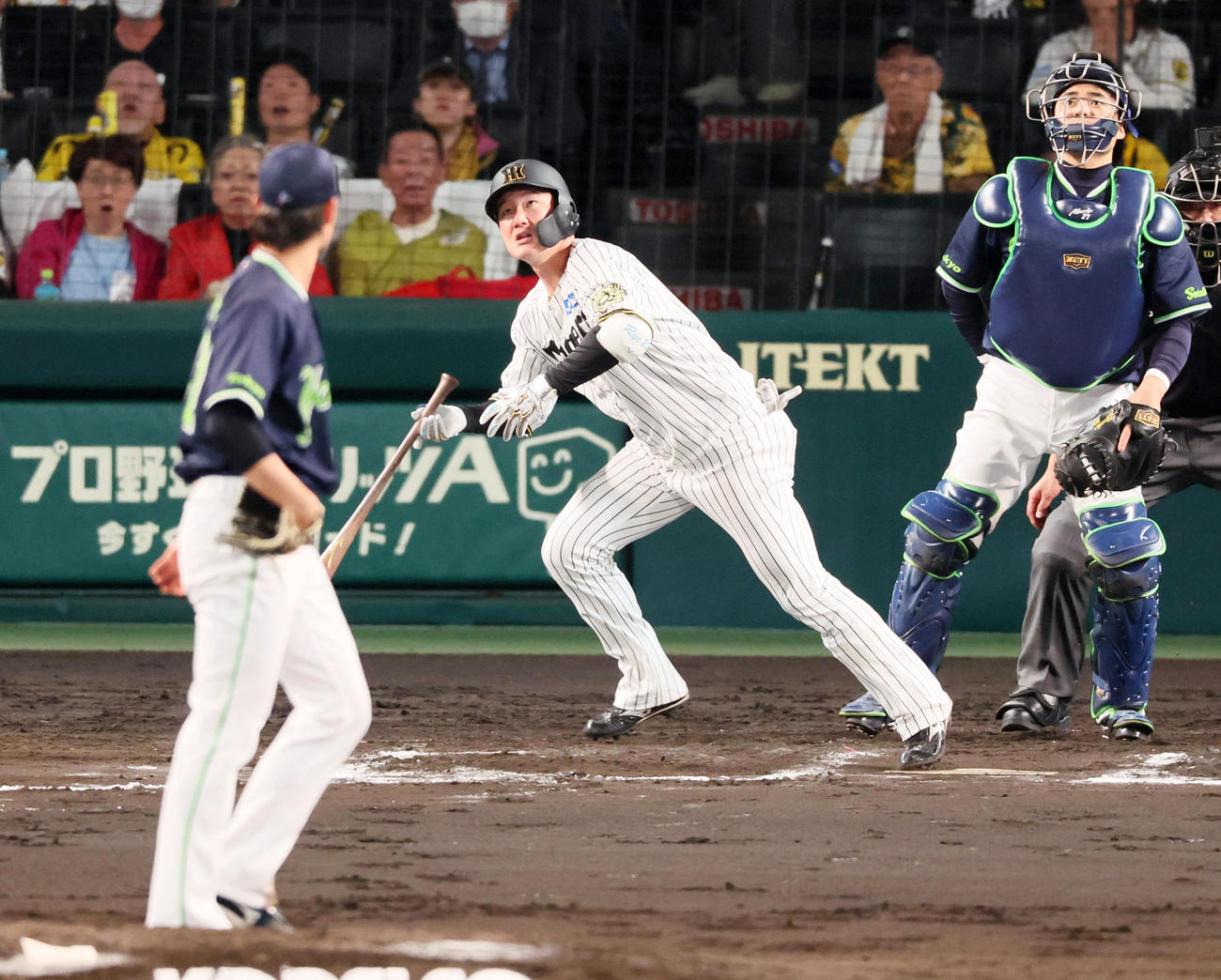 阪神対ヤクルト　6回裏阪神2死、右飛を打ち上げる渡辺。投手高橋（撮影・加藤哉）