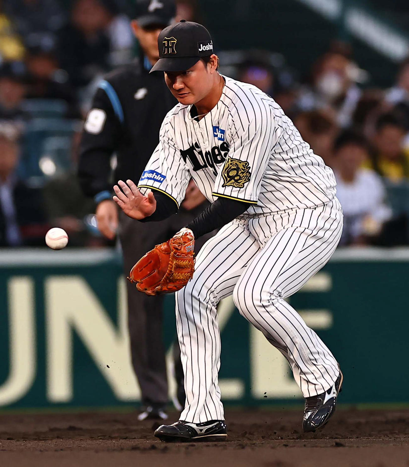阪神対ヤクルト　2回表ヤクルト1死、渡辺は山田の三ゴロをさばく（撮影・上田博志）
