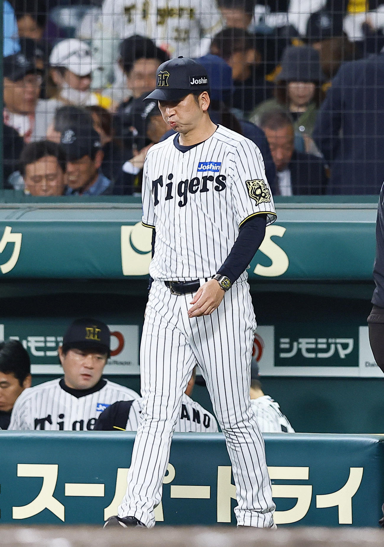 阪神対ヤクルト　ヤクルトに敗れ、あいさつに向かう阪神藤川監督（撮影・藤尾明華）