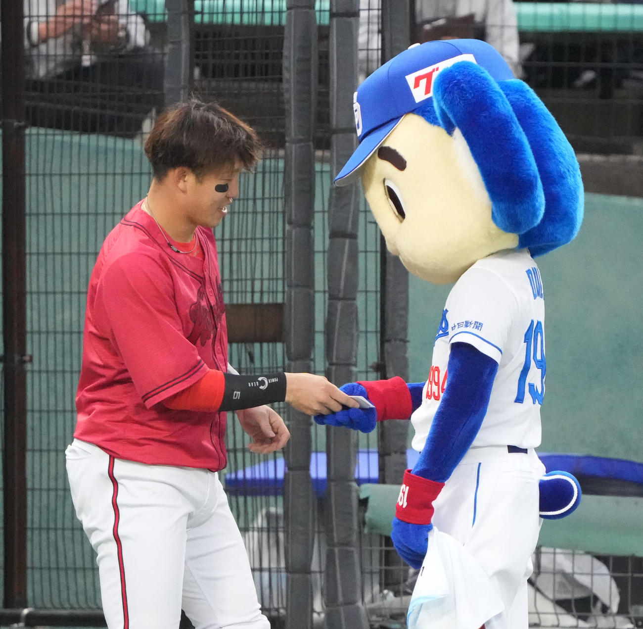 中日対広島　試合前、小園（左）からアイブラックのシールをもらうドアラ（撮影・森本幸一）