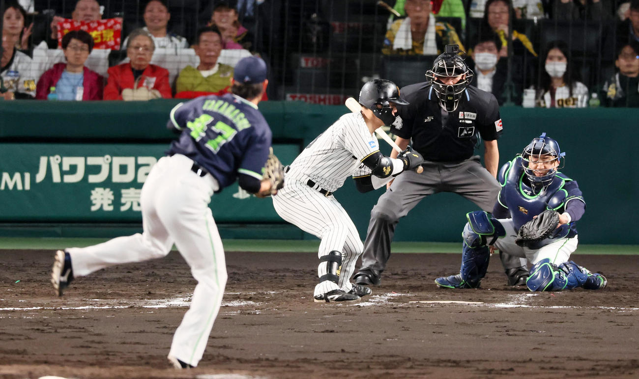 阪神対ヤクルト　7回裏阪神1死二塁、前川は四球を選ぶ。投手高橋（撮影・加藤哉）