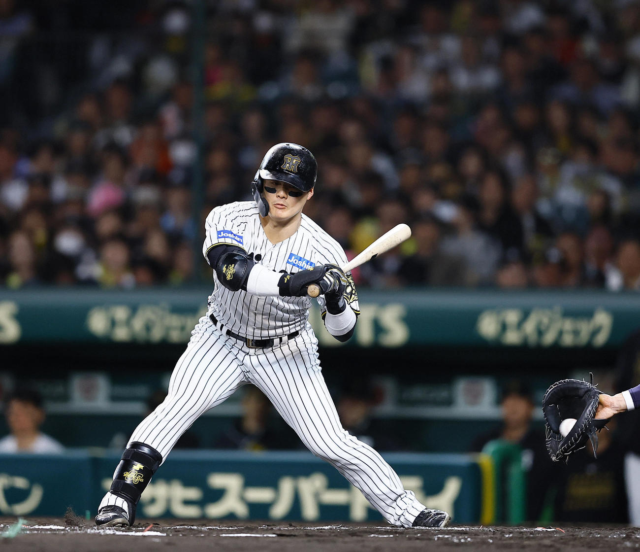 阪神対ヤクルト　7回裏阪神1死二塁、四球を選ぶ前川（撮影・藤尾明華）