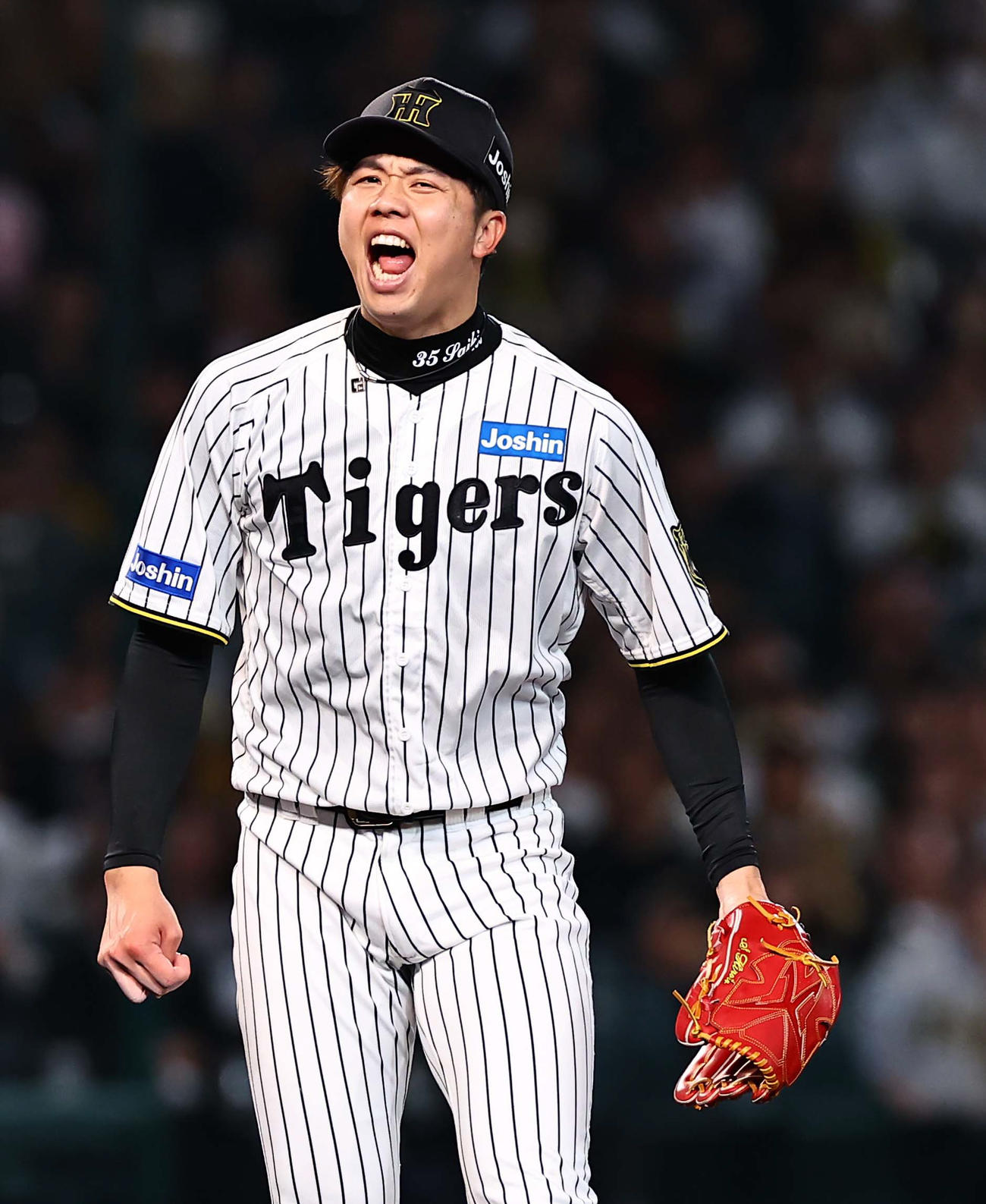 阪神対ヤクルト　8回表ヤクルト2死二、三塁、オスナを遊飛に打ち取り雄たけびをあげる才木（撮影・上田博志）