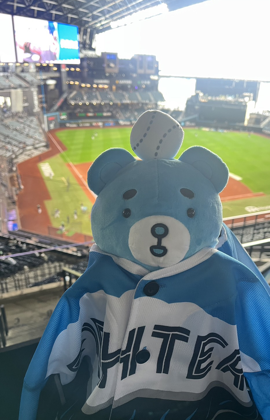 Nおじがえふたんにエスコンユニを着せてあげました。ちょっとサイズが合ってないかな…