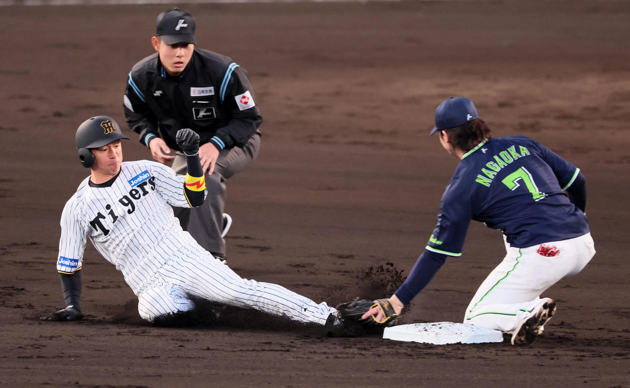 阪神対ヤクルト　1回裏阪神無死一塁、一塁走者近本は打者中野のとき二塁盗塁失敗。野手長岡（撮影・加藤哉）