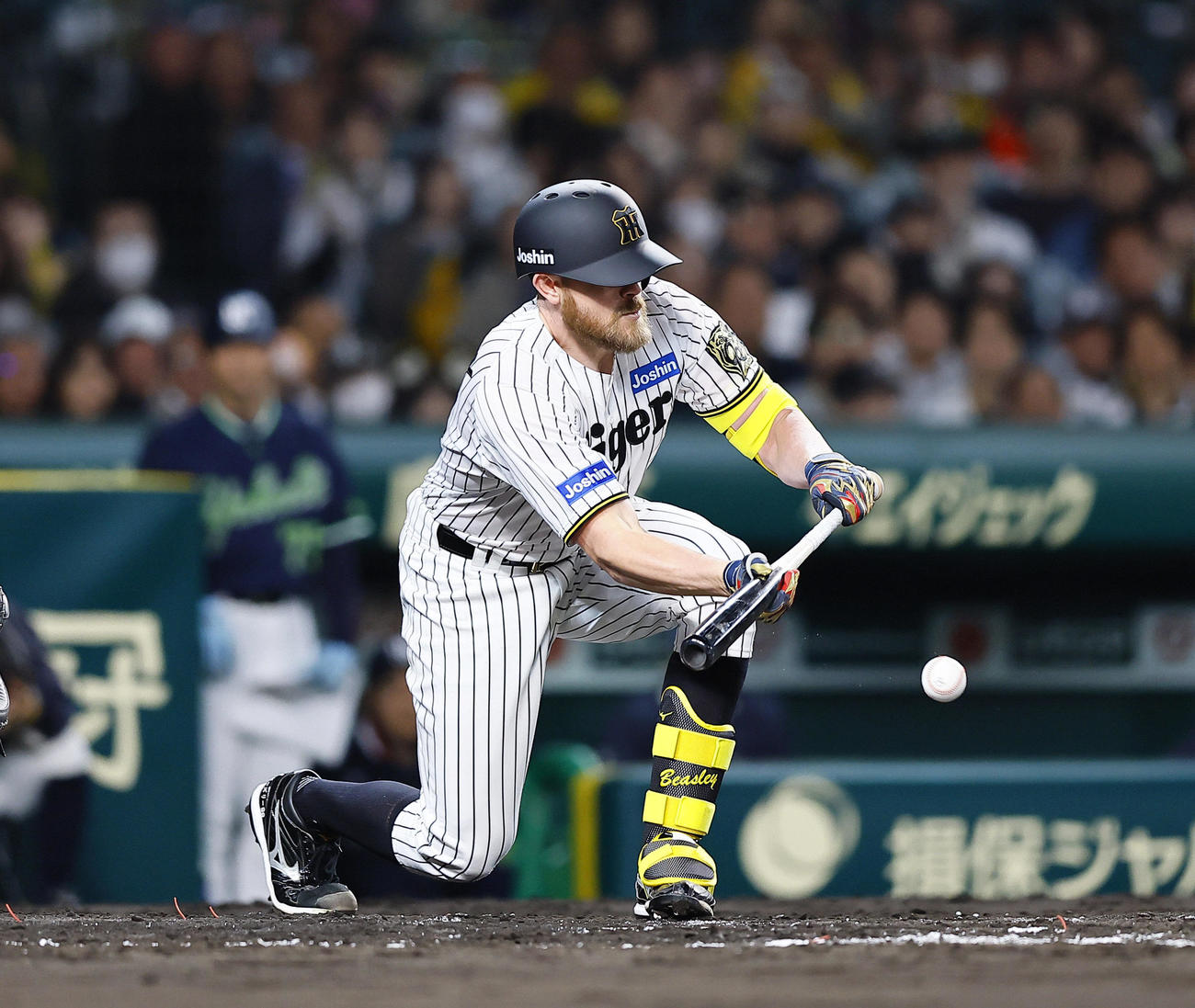 阪神対ヤクルト　2回裏阪神1死一、三塁、スクイズを決めるビーズリー（撮影・藤尾明華）